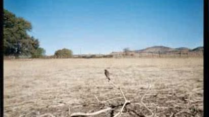 Reina_Jean-LucMylane01