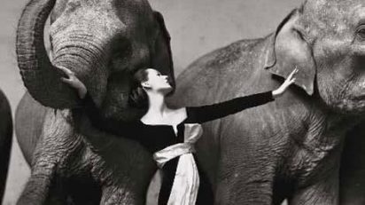 dovima_con_elefantes_richard_avedon