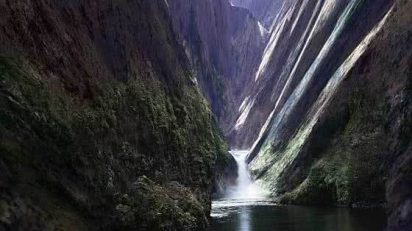 joan-fontcuberta_560x350_tcm483200971