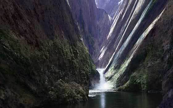 joan-fontcuberta_560x350_tcm483200971