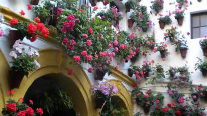 patio_cordoba