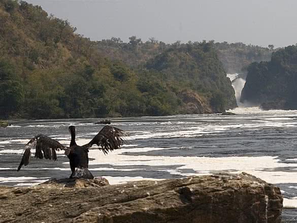 Cataratas_Murchinson__2