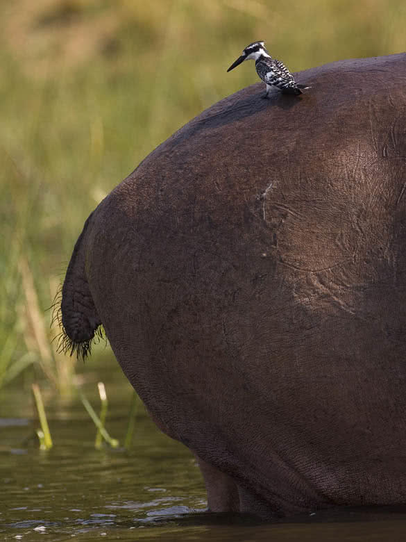 Cataratas_Murchinson____3