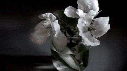 PIlar_Pequeo_y_Bayln_dos_nuevas_monografas_de_Lunwerg_Photo