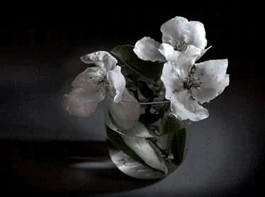 PIlar_Pequeo_y_Bayln_dos_nuevas_monografas_de_Lunwerg_Photo