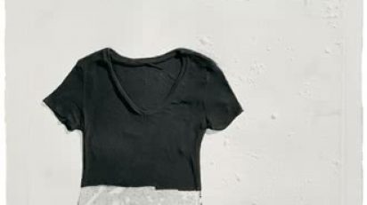 limping_duck_2007_juliao_sarmiento