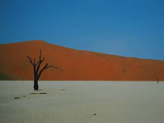 ARTE_NATURAL_DESIERTOS_2