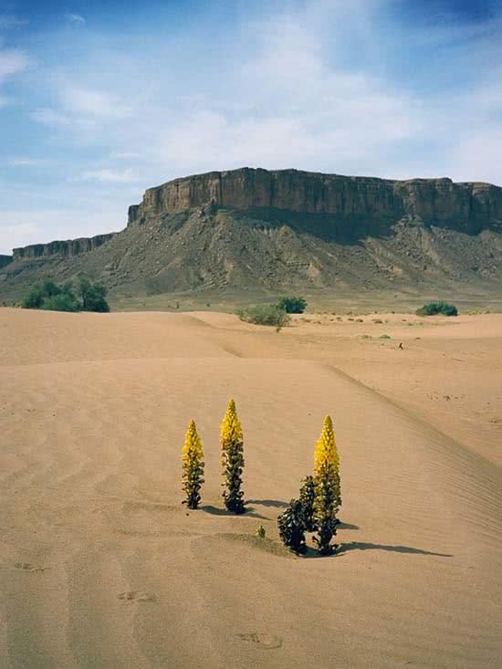 ARTE_NATURAL_DESIERTOS_4