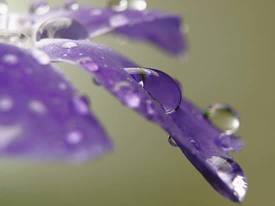 ARTE_NATURAL_La_seduccin_del_color008_1