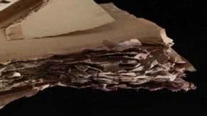 Conservacion_preventiva_en_patrimonio_bibliografico_y_documental