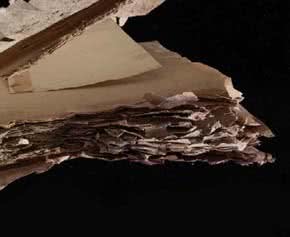 Conservacion_preventiva_en_patrimonio_bibliografico_y_documental