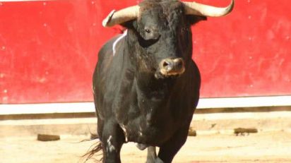 francia_protege_toros