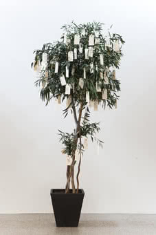 1505_prensa_imagen_imagen_baja