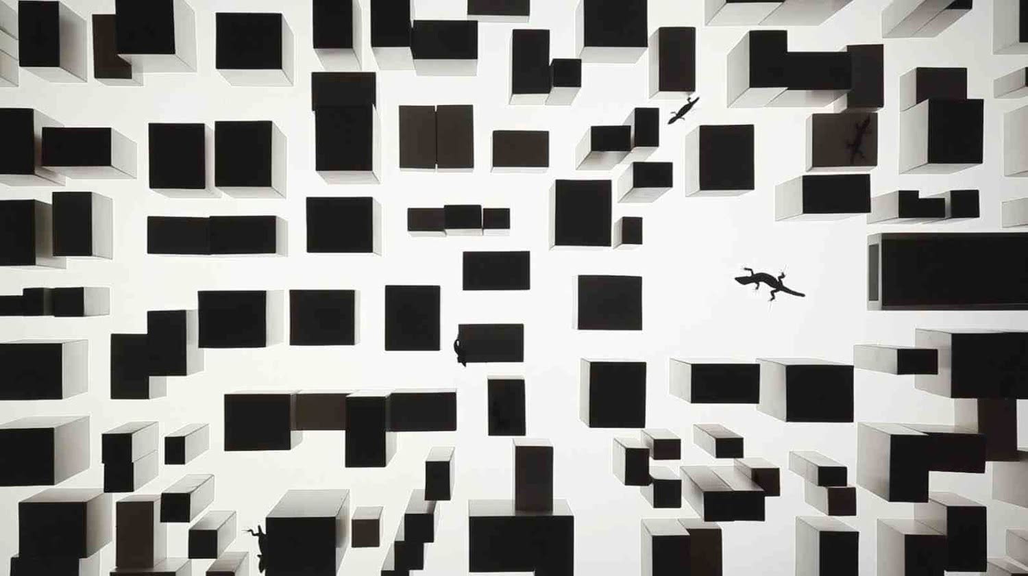 ngel_Marcos._Rabos_de_Lagartija._Artium_Vitoria_1