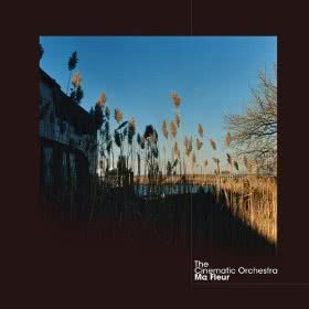 to_build_a_home_cinematic_orchestra