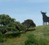 toro_de_osborne_de_SantaElena