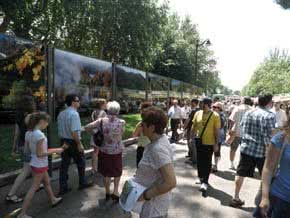 BOSQUES_del_mundo_lunwerg_2