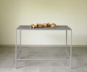 La_naturaleza_es_sabia_Lili_Dujourie