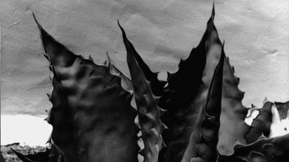 _testigos_17_rafael_navarro