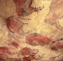 bisontes_pintados_altamira