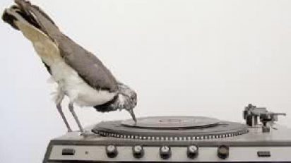 OBSCultura_ImgExpoganadoresIneditos11