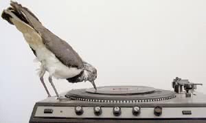 OBSCultura_ImgExpoganadoresIneditos11