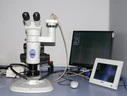 Evaluacin_de_Productos_utilizados_en_Conservacin_y_Restauracin_de_Bienes_Culturales_POLYEVART