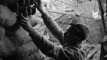 guillermo_fernandez_lopez_zuiga