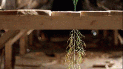 Jorge_Perianes_en_matadero