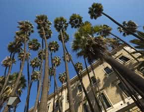 Palacio_de_la_Aduana_Museo_de_Malaga