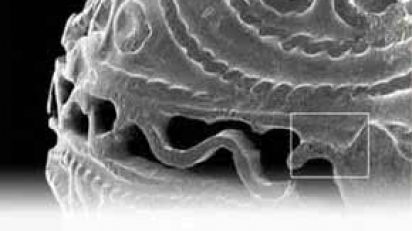 conservacion_y_restauracion_de_metal