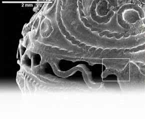 conservacion_y_restauracion_de_metal