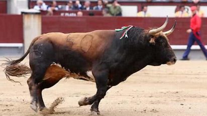 toros_nuevo_premio_nacional_cultura