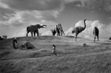 cristina_garcia_rodero_paseo_jurasico_valle_prehistoria