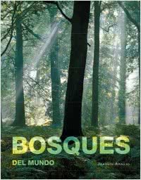 bosques-del-mundo