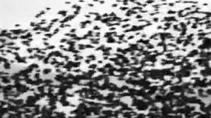 no_es_arte_todo_lo_que_nos_emociona