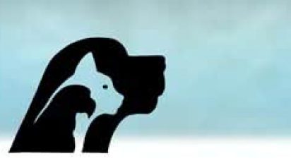 praxis_asha_schechter_mockup