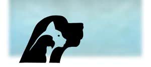 praxis_asha_schechter_mockup