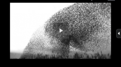 Captura_de_pantalla_2012-03-07_a_las_16.29.10