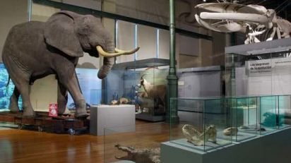 NUEVA_EXPOSICION_PERMANENTE_DEL_MUSEO_CIENCIAS_NATURALES