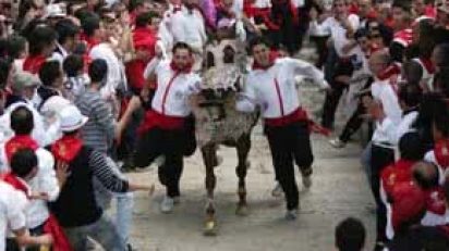 caballos_del_vino_caravaca_de_la_cruz