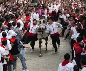 caballos_del_vino_caravaca_de_la_cruz