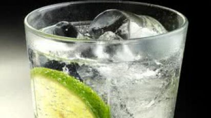 gin-tonic