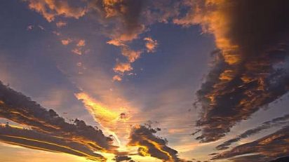 ARTE_NATURAL_portada