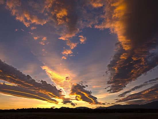 ARTE_NATURAL_portada