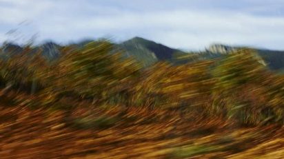 Viento_de_Otoo_60x90