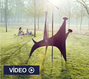 Video_Middelheim-Museum