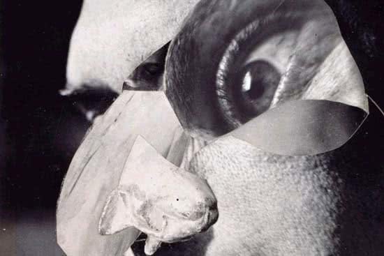 r_hausmann_collage_en_el_ivam