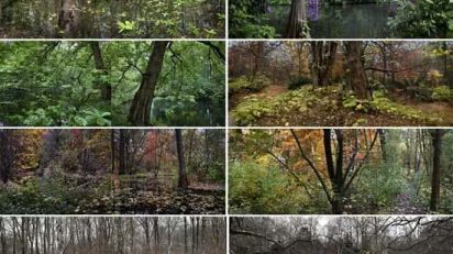 tiergarten_museo_romanticismo