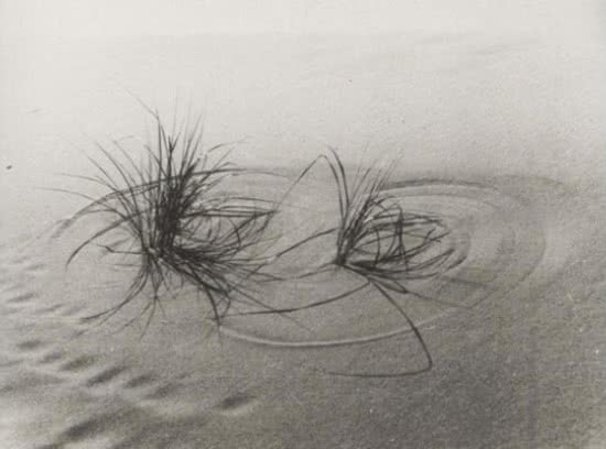 jose_alemany_guillermo_de_osma